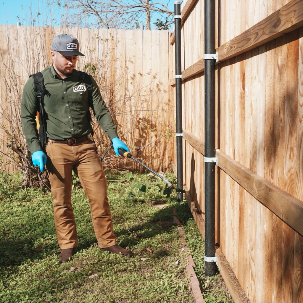 Get Rid Of And Prevent Fleas In Your Yard