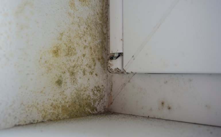 The Importance of Moisture Control in Oklahoma City Homes