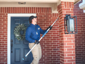 Wasp nest removal Tulsa OK