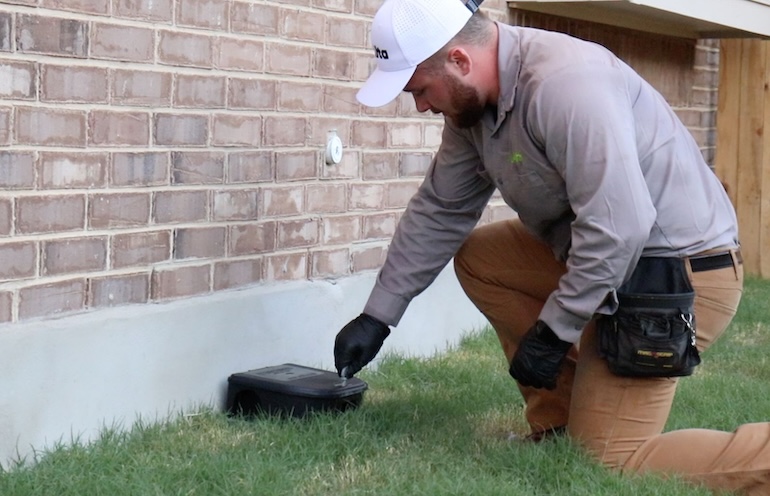 What Are The Signs of a Rodent Infestation in Spokane, WA?