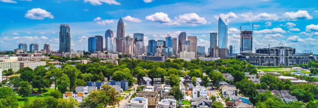 Why Charlotte’s Warm Climate Attracts Pests Year-Round