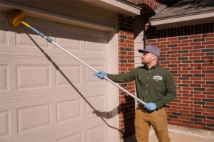 Wasp nest removal Oklahoma City, OK