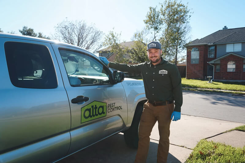 Pest Control Near Me