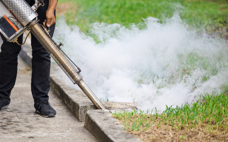 Mosquito Fogging