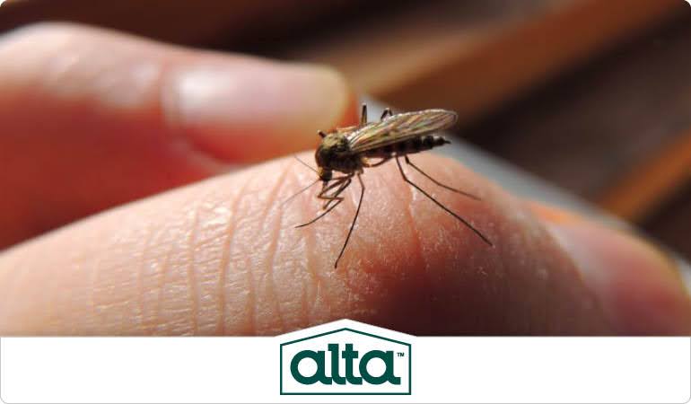 Mosquito Control in Nashville, TN