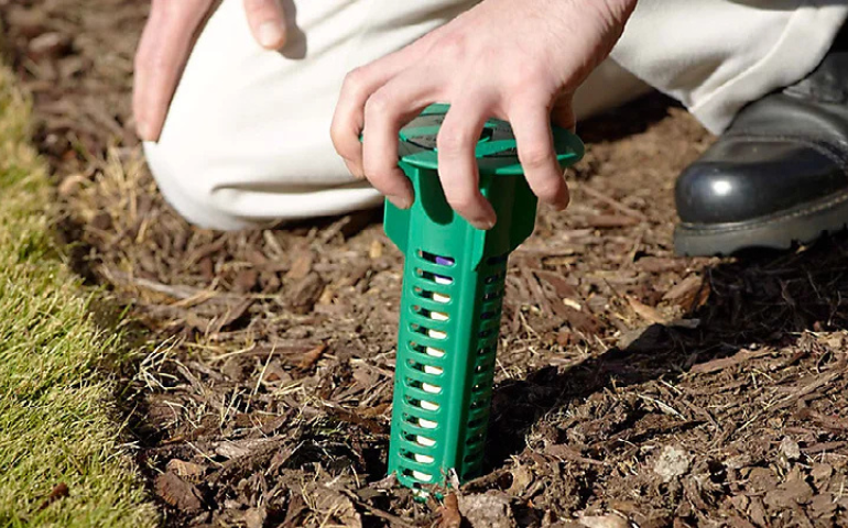 termite control sentricon system