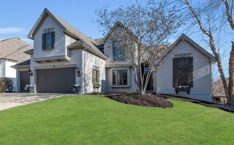 The Pros and Cons of Professional Pest Control in Kansas City, KS