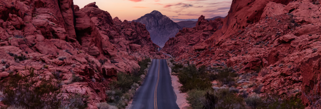 Nevada Pest Control