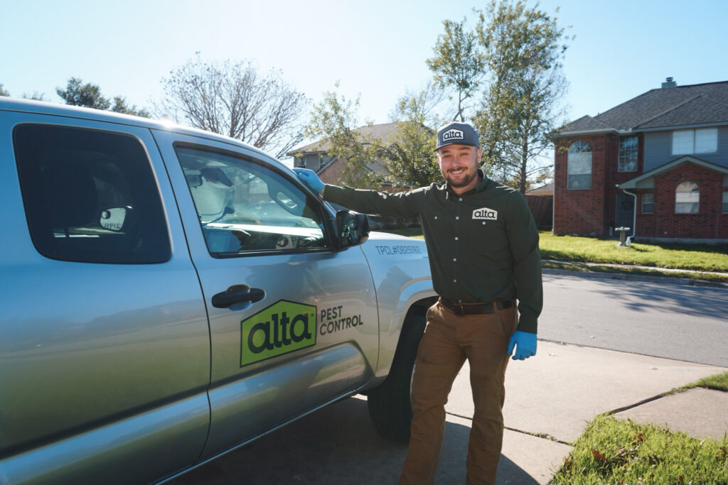 pest control, pest control services, mosquito control, exterminator, pest control near me, pest control services near me, exterminator near me, rodent control, spider control