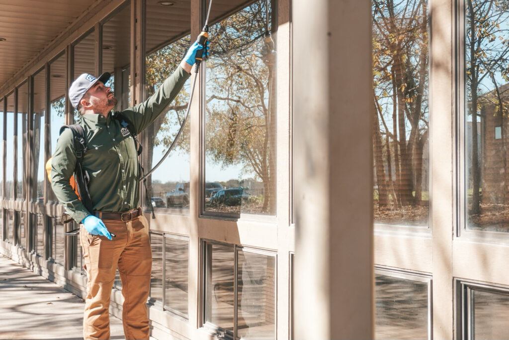How to Prevent Carpenter Ants from Coming Back